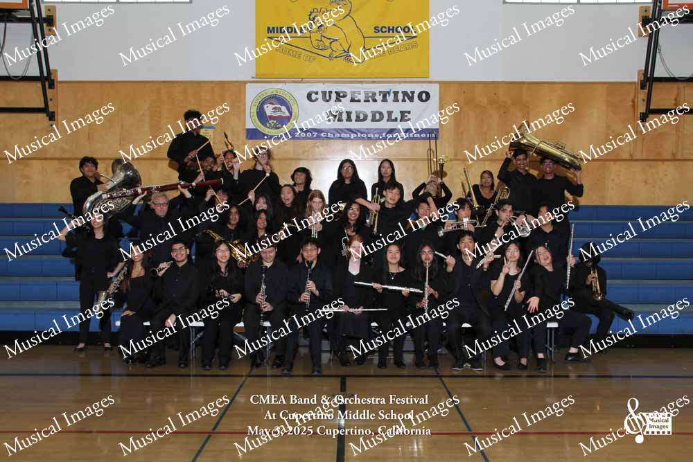 Musical Images